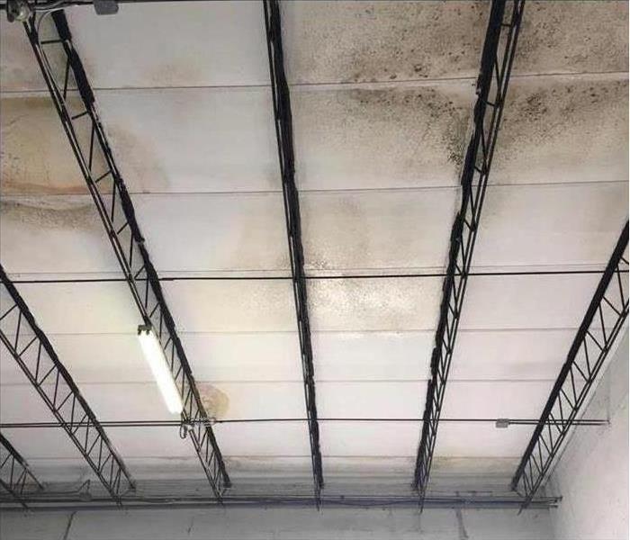 mold on a warehouse ceiling after a roof leak